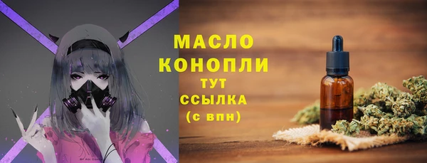 молекула духа Вяземский