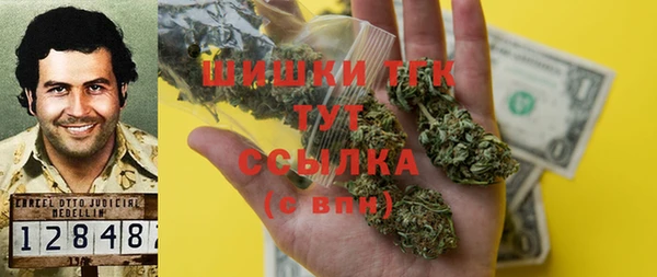 дмт Мегион