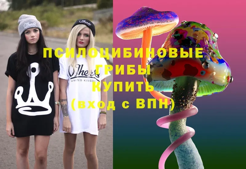 Псилоцибиновые грибы Psilocybe  Белокуриха 